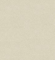 sandy beach quartz countertop