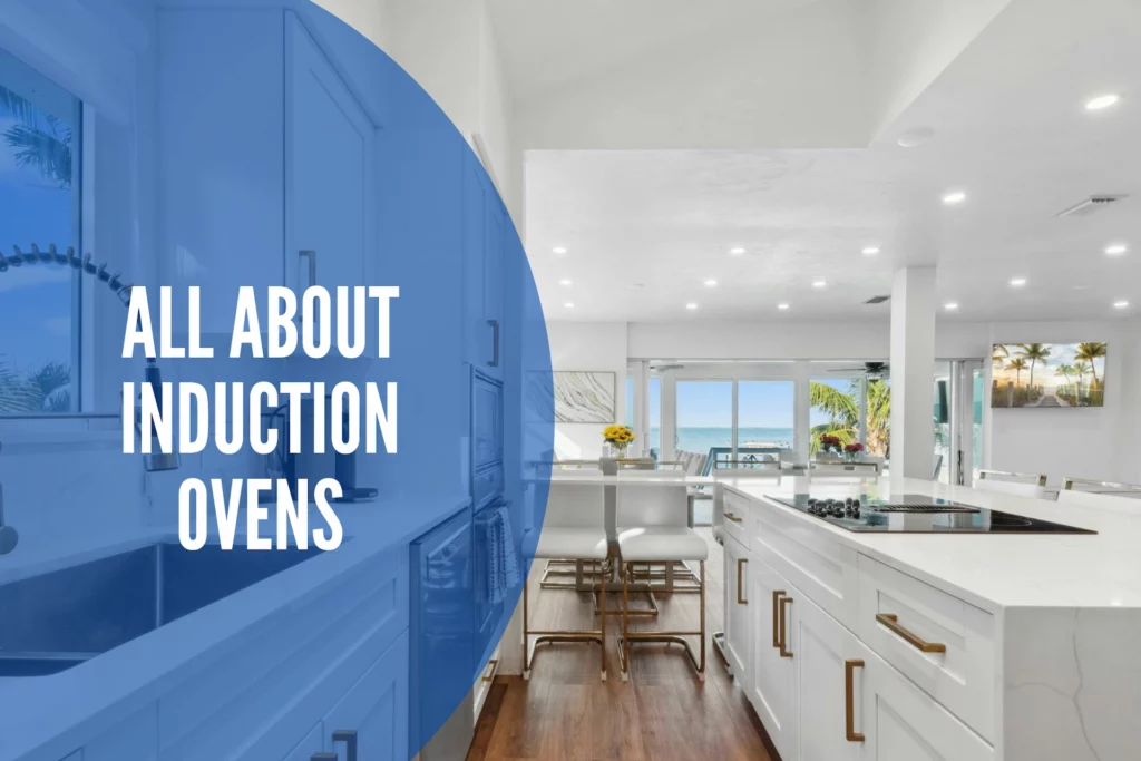 All About Induction Ovens