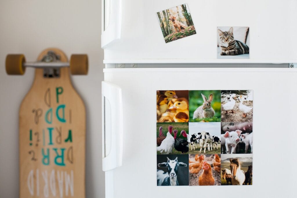 Is It Worth Repairing a 20 Year Old Refrigerator?