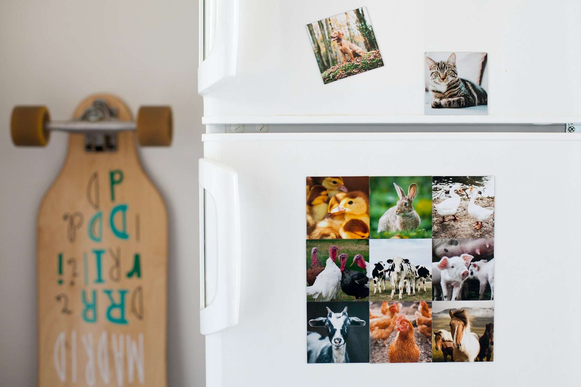 Is It Worth Repairing a 20 Year Old Refrigerator?