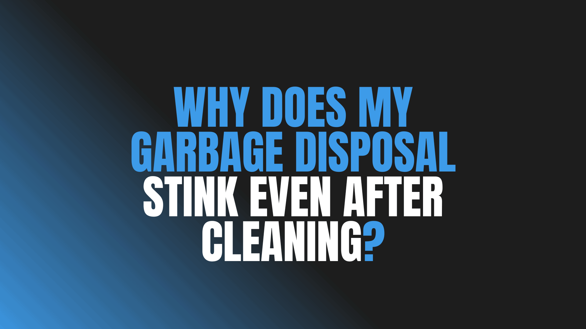 Why Does My Garbage Disposal Stink Even After Cleaning?