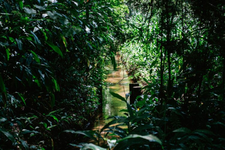 Why Shouldn’t You Use a Garbage Disposal?