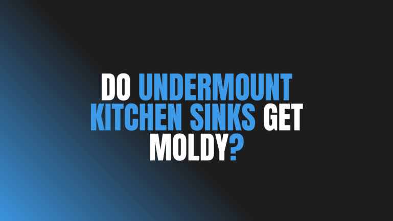 Do Undermount Kitchen Sinks Get Moldy?